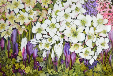Spring Border: Hellebores, Crocus and Violets