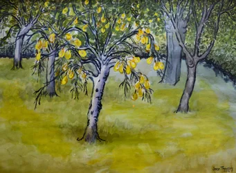 The Little Pear Tree