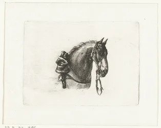 Horse Head to the Right
