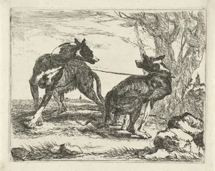 Two Dogs (Dogs)