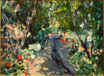 Garden of Casa Mir