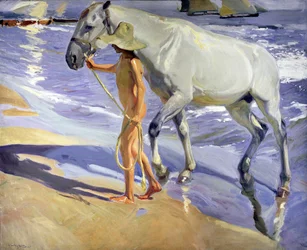 The Horse