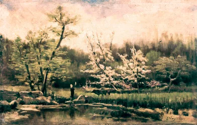 Spring Landscape