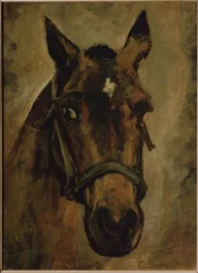 Head of a Horse. Artist: Joaquin Sorolla. Location: Private Collection, Madrid, Spain