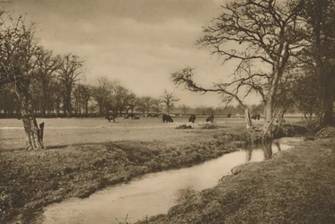 Where Beverley Brook Winds Through The Royal Hunting Park of Richmond, circa 1935
