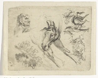 Study Sheet with Horses, a Man, and a Branch
