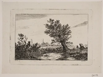 Landscape