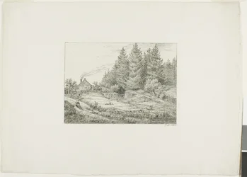 Farmhouse in an Evergreen Forest