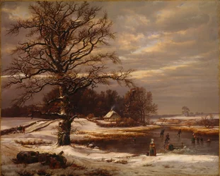 Danish winter landscape