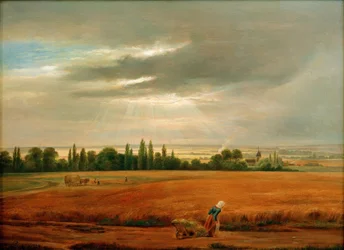 Grain Fields near Dresden