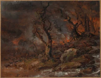Forest Fire