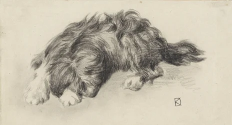 Sleeping Dog