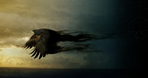 Bird Kingdom 2