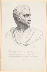 Head of Brutus