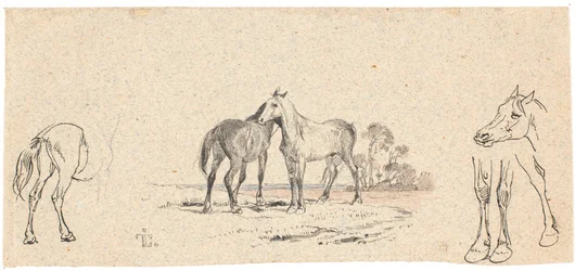 The Two Horses; Study of Horses
