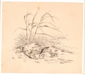 The Killed Wild Duck. Illustration for Kaalund