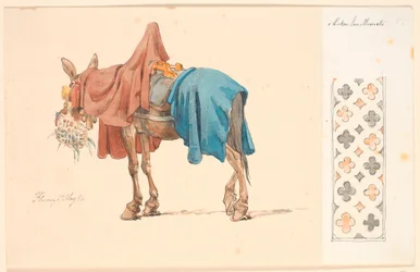 A Mule Eating Its Green Fodder. To the Right on Attached Paper a Decorative Border