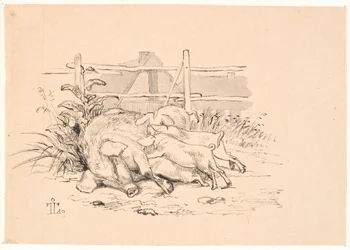 The Pigs