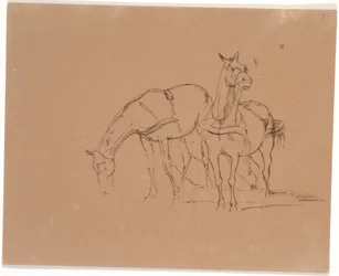 Horse Team