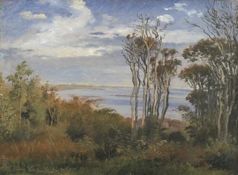 Kolås Wood, Vejrhøj