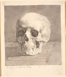 Skull, Seen from the Front