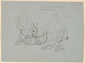 Reclining Donkey Being Whipped and Kicked by a Handler. At Right, Two Studies of a Reclining and a Standing Donkey
