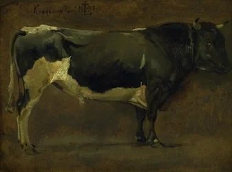 Black-Spotted Bull