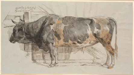Standing Bull in its Stall