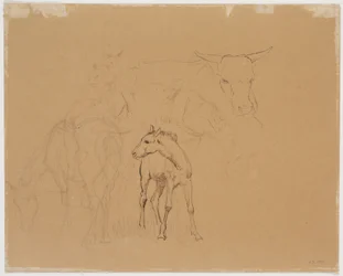 Study of a Grazing Horse, a Foal, and a Lying Cow