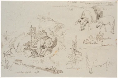 Study Sheet from Vognserup. Left: a shepherd (old Rasmus Larsen) sitting with a dog by a gate. Front: a landscape study with place names. Below: two pigs. Right: study of reeds in a lake. Below: a mullein plant and study of a sow