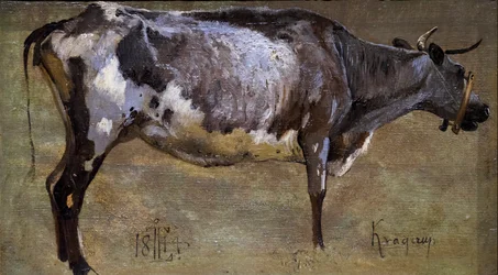 Study of a Cow