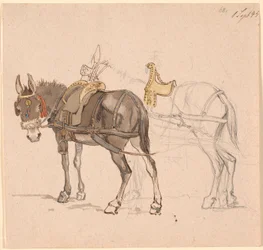 Two Harnessed Mules