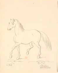 Trotting Horse, Facing Left