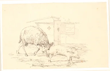 The Ram and the Pig. Illustration for Kaalund