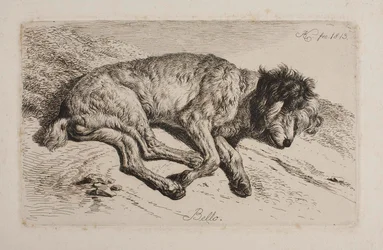 Sleeping Dog, Bello