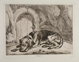 The Dog Legere