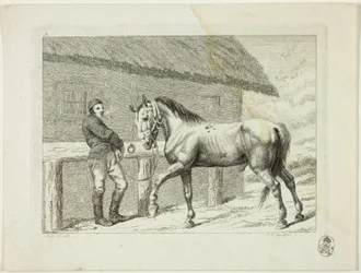 Riding School and Horses