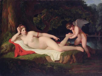 The Origin of the Red Rose