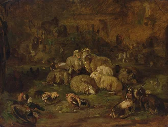 Sheep, Goats and Chickens