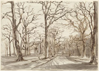 A Woodland Path in Rosenthal in Winter