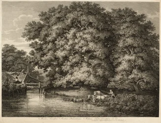 A Farmer Driving His Cattle into the Water