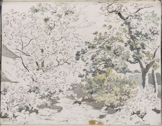 Leafy Trees on Rocky Ground, Beside Them a Building: Hergitz