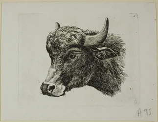 Buffalo Head Facing Left, from Die Zweite Thierfolge