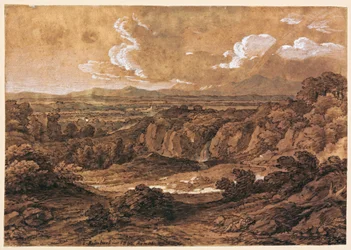 Rocky Forest Landscape