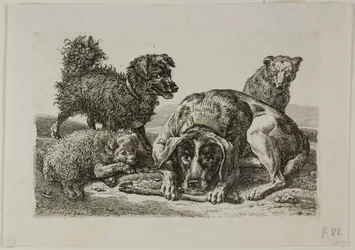 Four Dogs, from Die Zweite Thierfolge