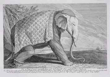 An Elephant