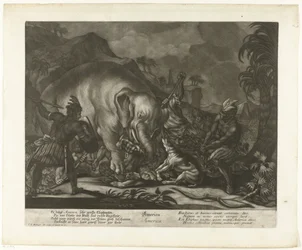 Elephant Hunt