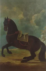 The Bay Stallion with Spanish Saddle