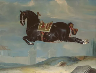The black horse 