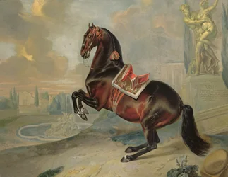 The dark bay horse “Valido” performing a levade